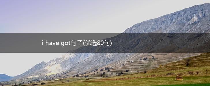i have got句子(优选80句),第1张