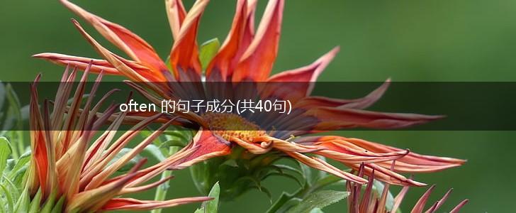 often 的句子成分(共40句),第1张