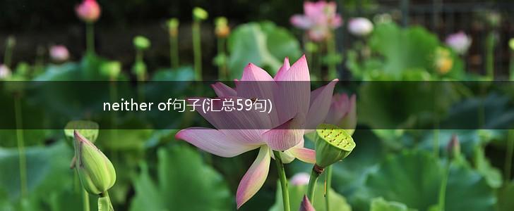 neither of句子(汇总59句),第1张