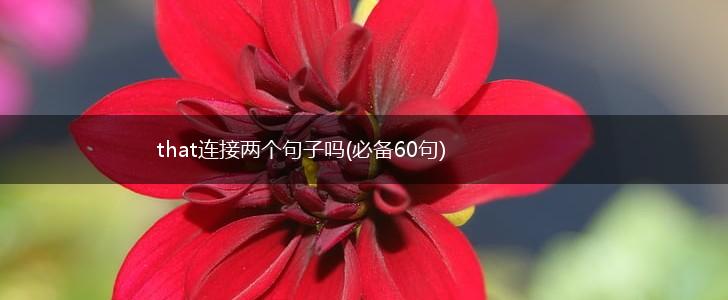 that连接两个句子吗(必备60句),第1张