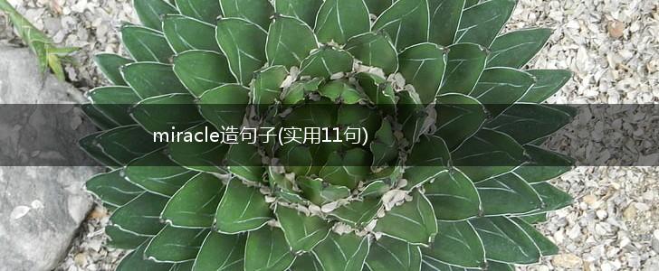miracle造句子(实用11句),第1张