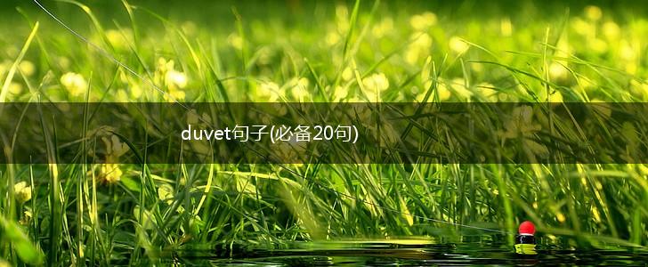 duvet句子(必备20句),第1张