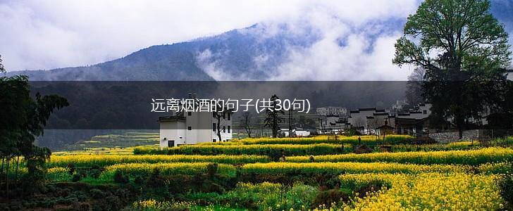 远离烟酒的句子(共30句),第1张