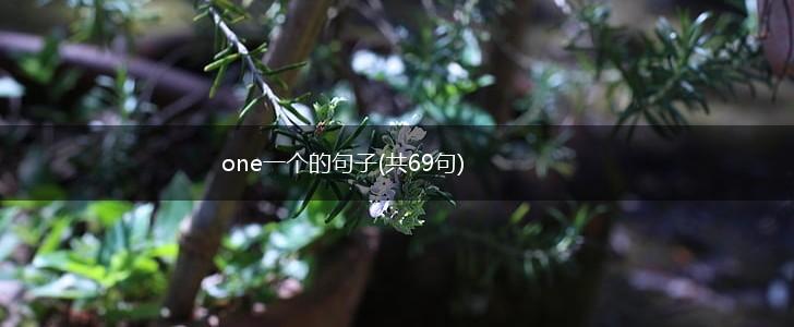 one一个的句子(共69句),第1张
