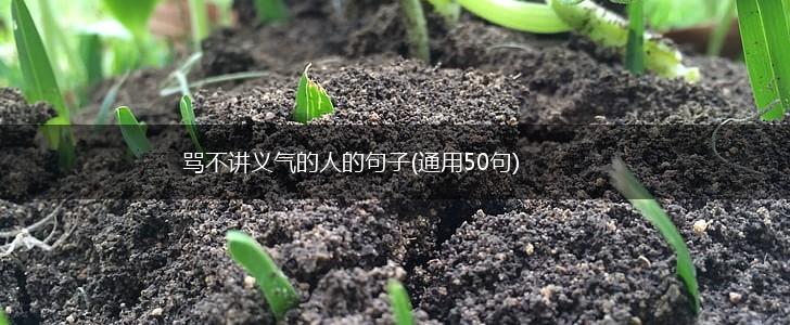 骂不讲义气的人的句子(通用50句),第1张