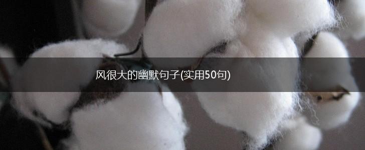 风很大的幽默句子(实用50句),第1张