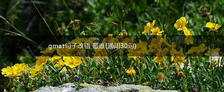 gmat句子改错 最难(通用30句),第1张