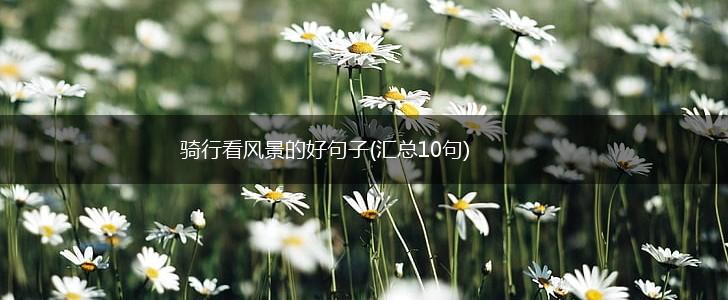 骑行看风景的好句子(汇总10句),第1张