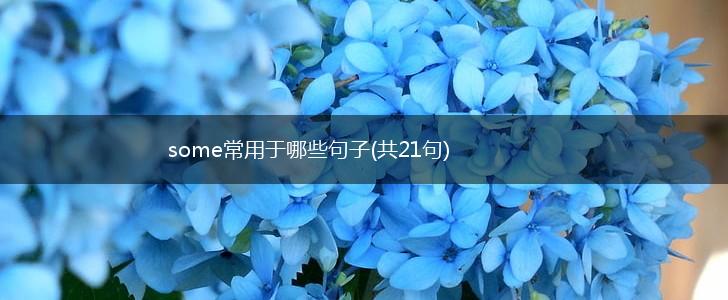 some常用于哪些句子(共21句),第1张