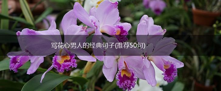 骂花心男人的经典句子(推荐50句),第1张