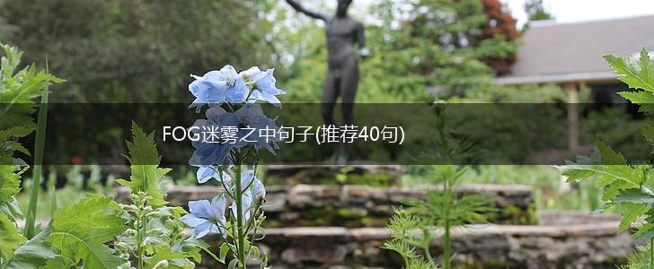 FOG迷雾之中句子(推荐40句),第1张