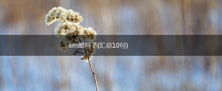 sm圈句子(汇总10句),第1张