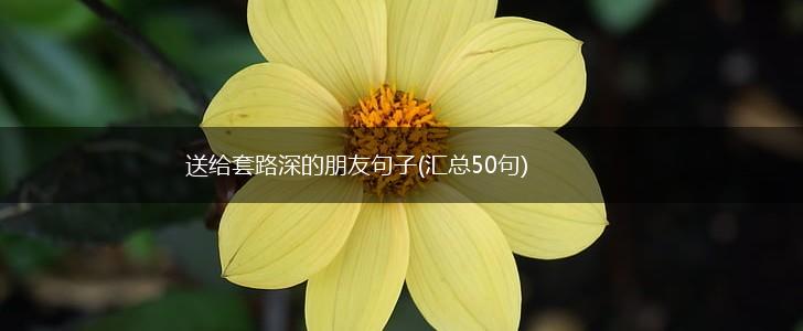 送给套路深的朋友句子(汇总50句),第1张