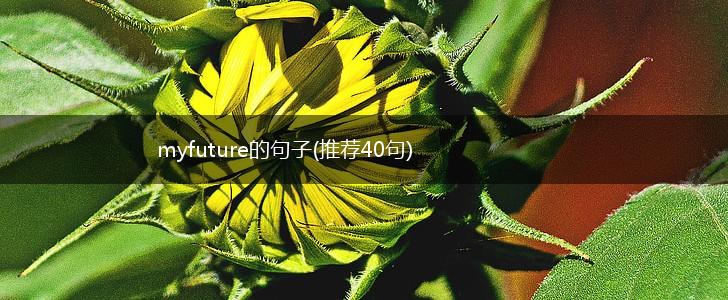 myfuture的句子(推荐40句),第1张