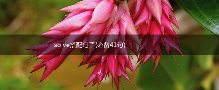 solve搭配句子(必备41句),第1张