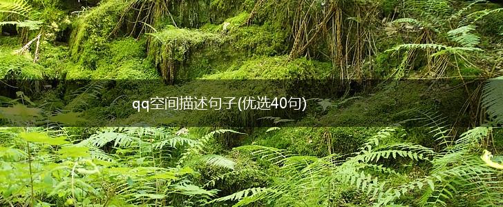 qq空间描述句子(优选40句),第1张