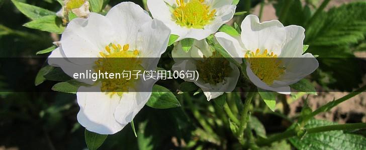 enlighten句子(实用106句),第1张