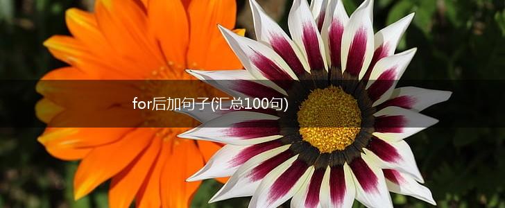 for后加句子(汇总100句),第1张