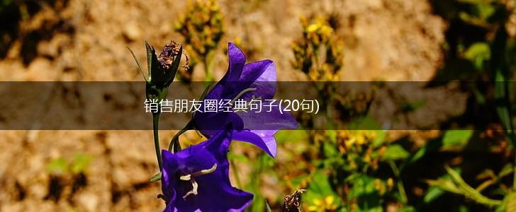 销售朋友圈经典句子(20句),第1张