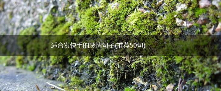 适合发快手的感情句子(推荐50句),第1张
