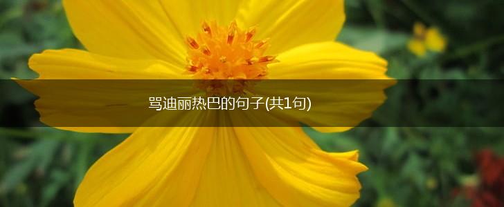 骂迪丽热巴的句子(共1句),第1张