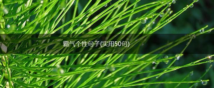 霸气个性句子(实用50句),第1张