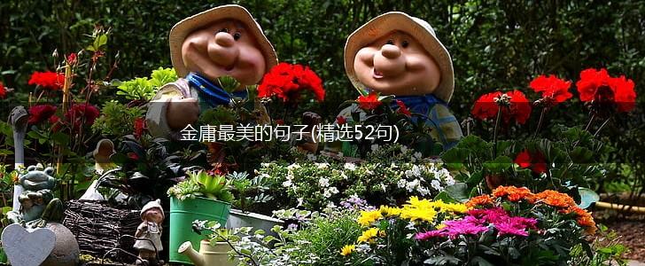 金庸最美的句子(精选52句),第1张