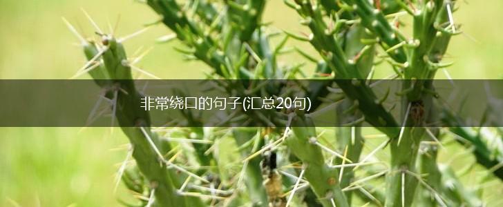 非常绕口的句子(汇总20句),第1张