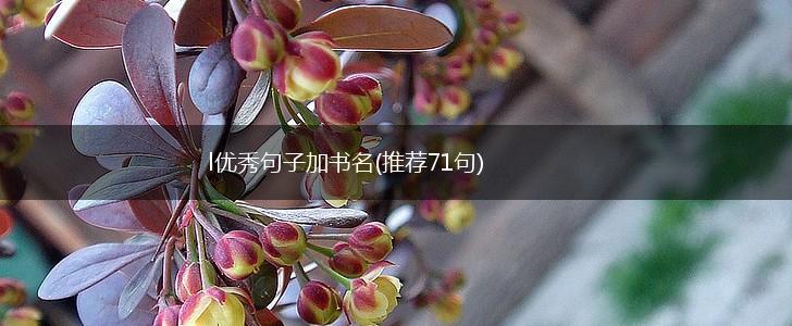 l优秀句子加书名(推荐71句),第1张