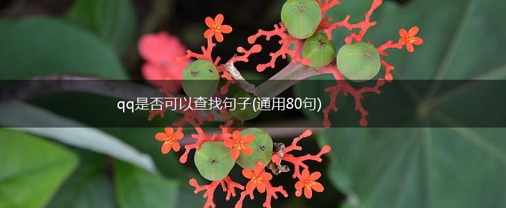 qq是否可以查找句子(通用80句),第1张