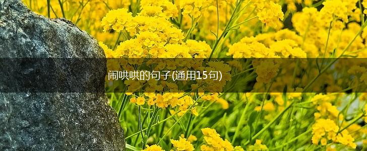 闹哄哄的句子(通用15句),第1张
