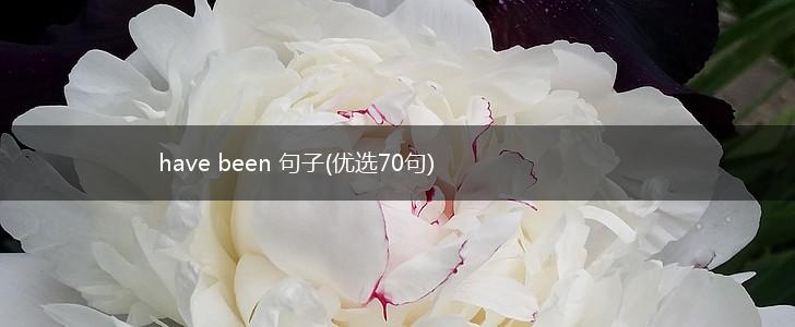 have been 句子(优选70句),第1张