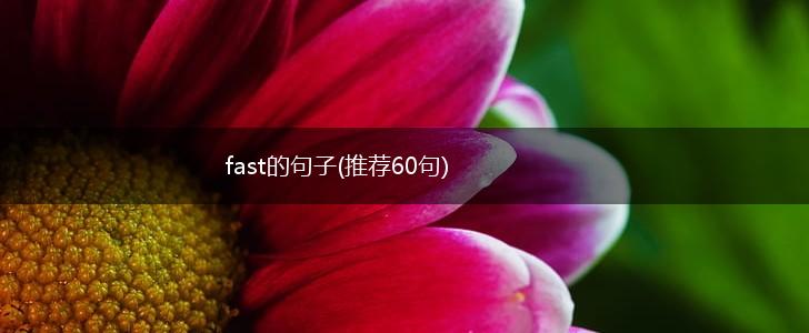 fast的句子(推荐60句),第1张