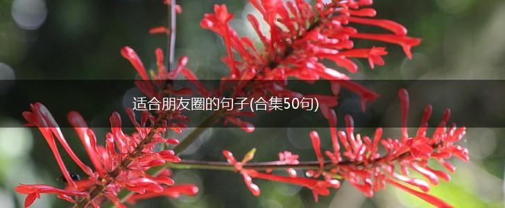适合朋友圈的句子(合集50句),第1张