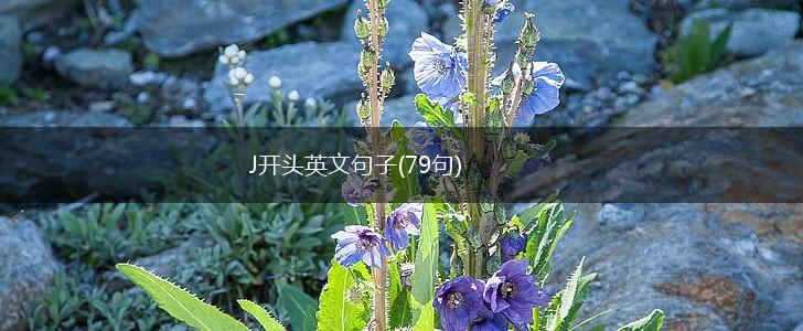 J开头英文句子(79句),第1张