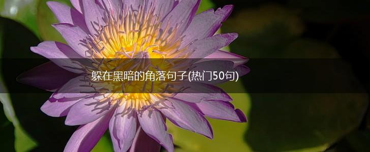 躲在黑暗的角落句子(热门50句),第1张