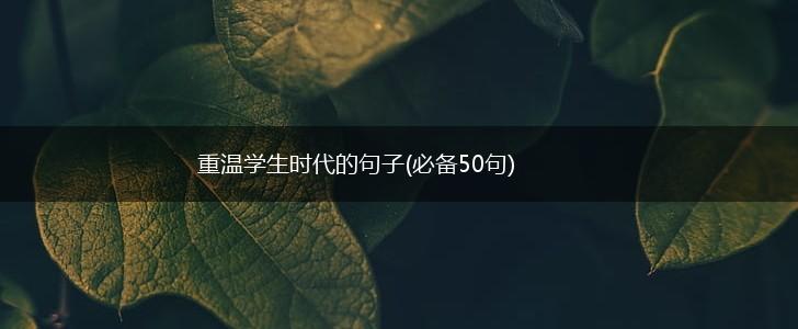 重温学生时代的句子(必备50句),第1张