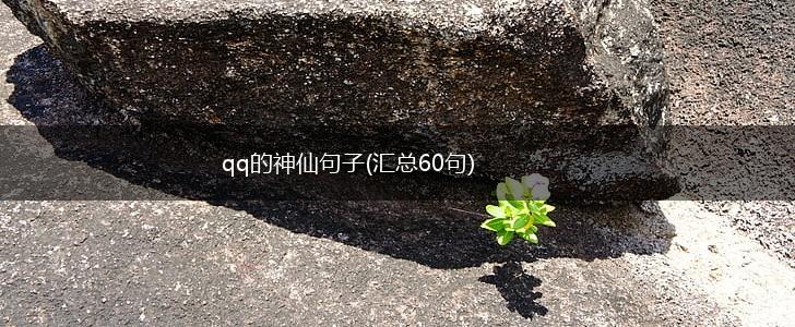 qq的神仙句子(汇总60句),第1张