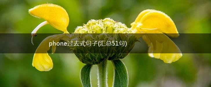 phone过去式句子(汇总51句),第1张