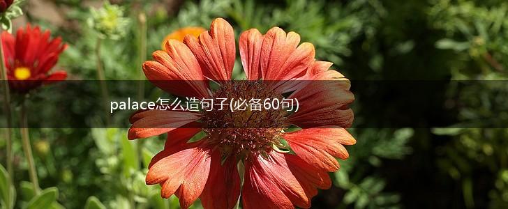 palace怎么造句子(必备60句),第1张