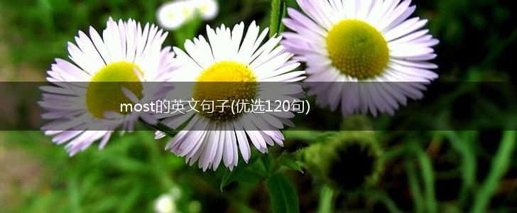 most的英文句子(优选120句),第1张
