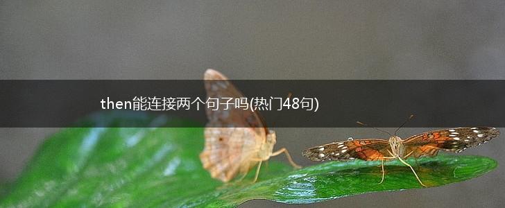 then能连接两个句子吗(热门48句),第1张