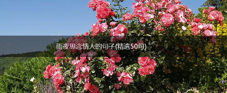 雨夜思念情人的句子(精选50句),第1张