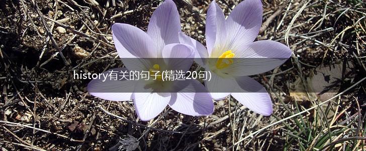 history有关的句子(精选20句),第1张