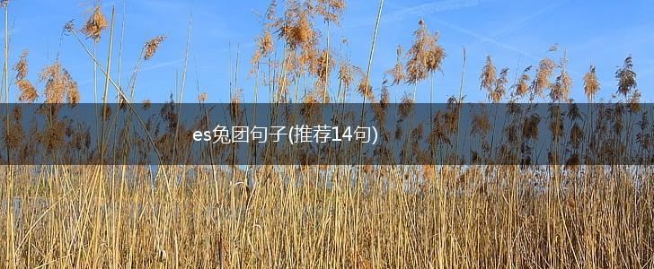 es兔团句子(推荐14句),第1张