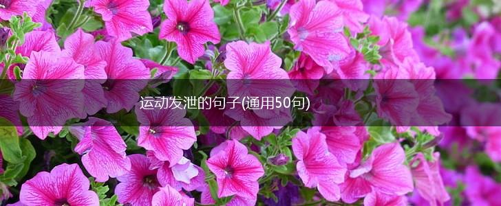 运动发泄的句子(通用50句),第1张