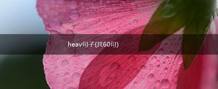heav句子(共60句),第1张