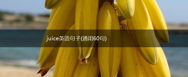 juice英语句子(通用60句),第1张