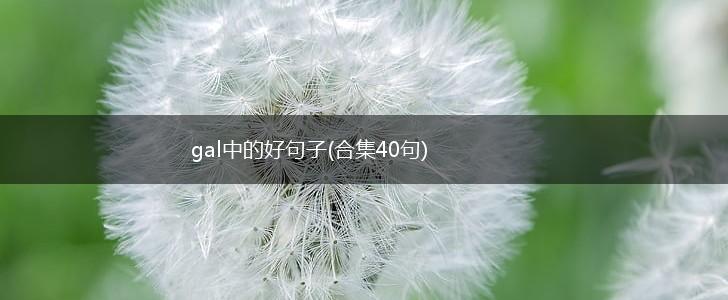 gal中的好句子(合集40句),第1张