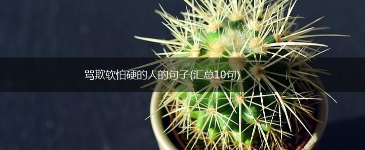 骂欺软怕硬的人的句子(汇总10句),第1张